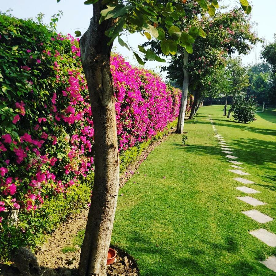Trident Agra Hotel Agra  Luaran gambar The campus